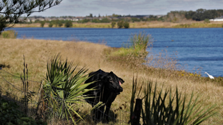 A Big Fight Over Waters in the U.S. Is Heating Up<em></em><em></em><em></em>
